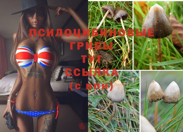 кокаин VHQ Новодвинск