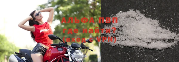 прущие грибы Нязепетровск